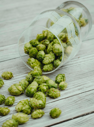 Les quatre ingrédients qui sculptent votre bière artisanale