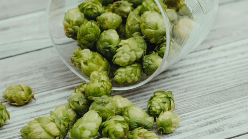 Les quatre ingrédients qui sculptent votre bière artisanale