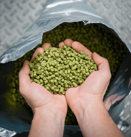 Tout savoir sur le houblon : l’ingrédient star de la bière artisanale