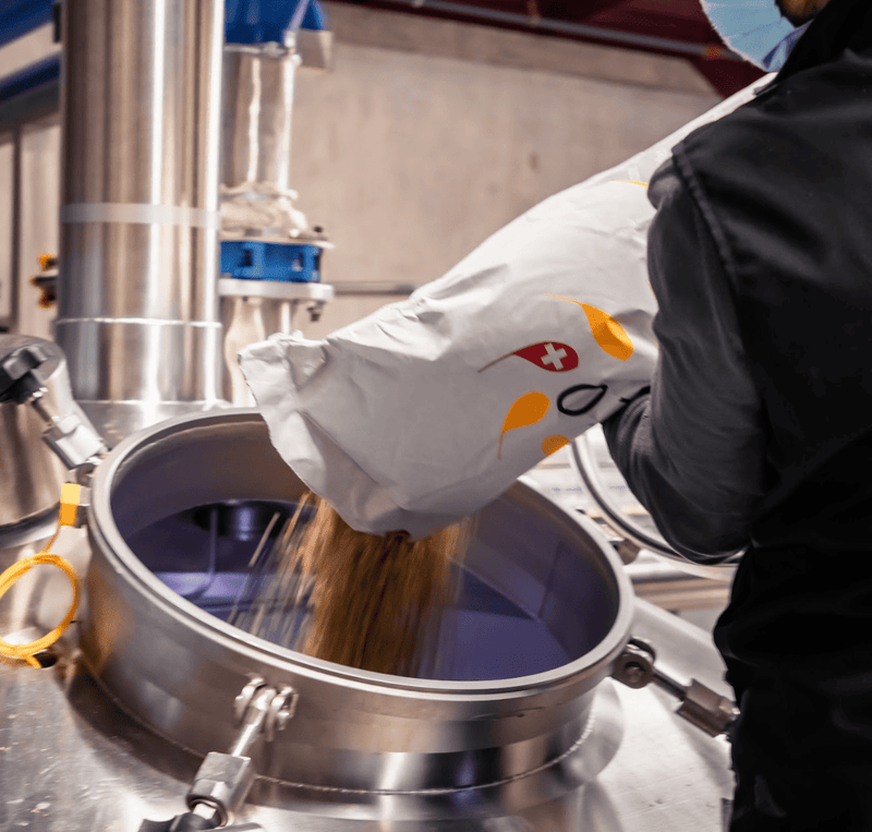 Le malt dans La bière artisanale une histoire de saveurs