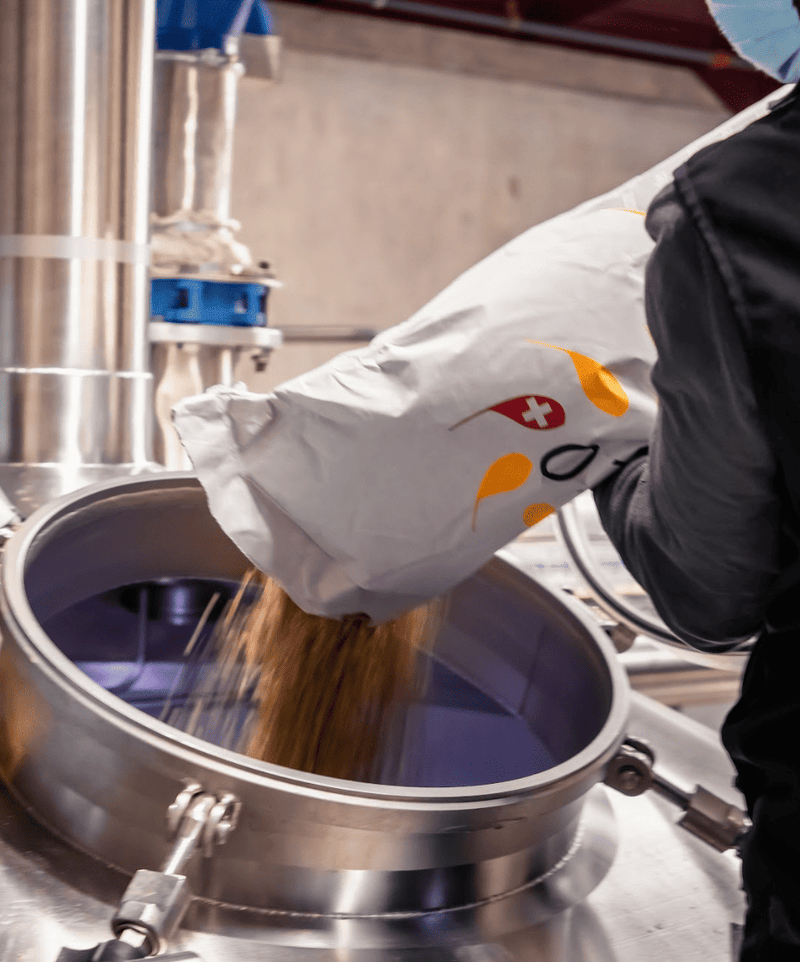 Le malt dans La bière artisanale une histoire de saveurs