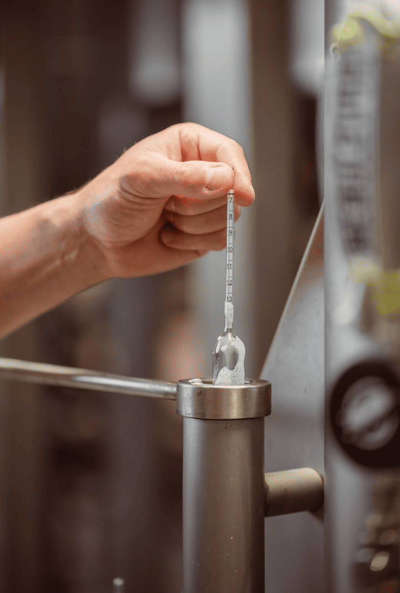 L'eau dans le brassage : l'ingrédient secret d'une bière d'exception