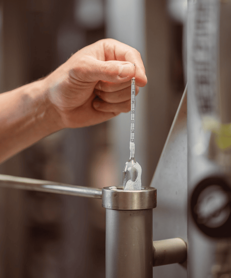 L'eau dans le brassage : l'ingrédient secret d'une bière d'exception