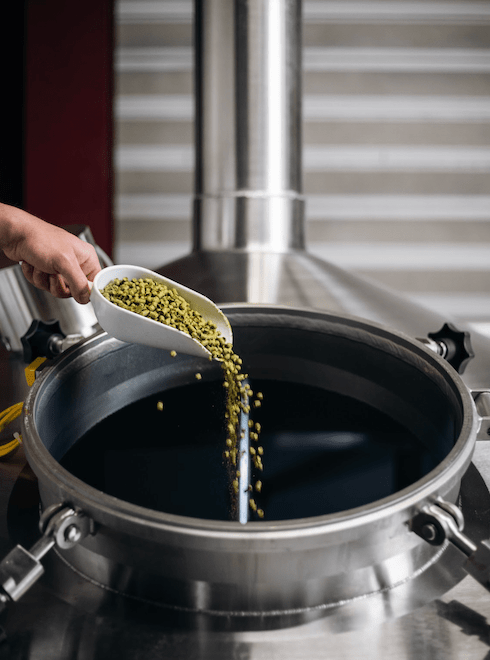 Le houblon suisse, trésor aromatique des bières artisanales