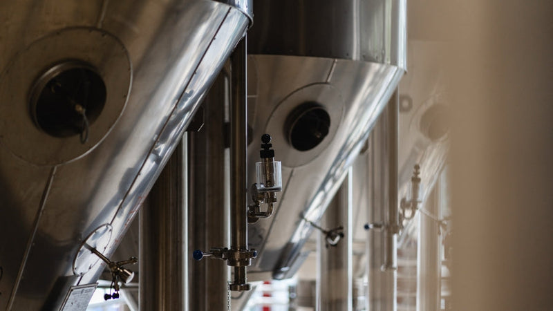 L'art du dry hopping dans la bière artisanale