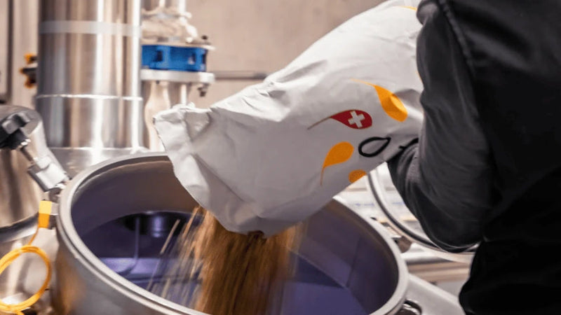 Le malt dans La bière artisanale une histoire de saveurs